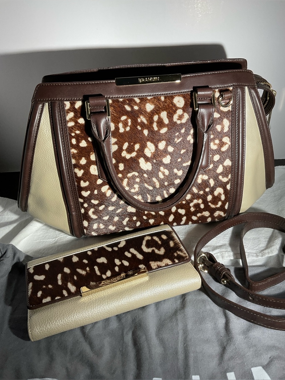 Brahmin Arden and checkbook wallet set